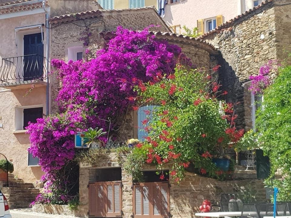 Maison De Vacances Medievale Bormes-Les-Mimosas Village エクステリア 写真
