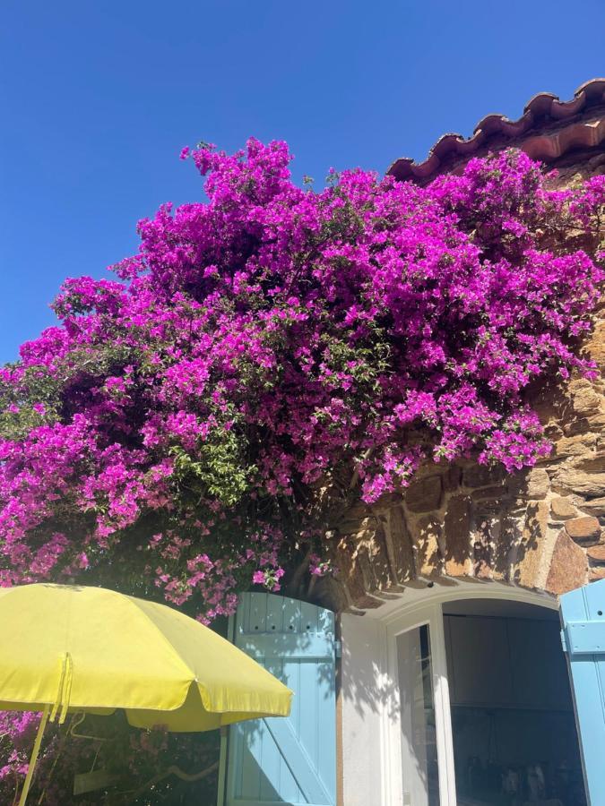 Maison De Vacances Medievale Bormes-Les-Mimosas Village エクステリア 写真