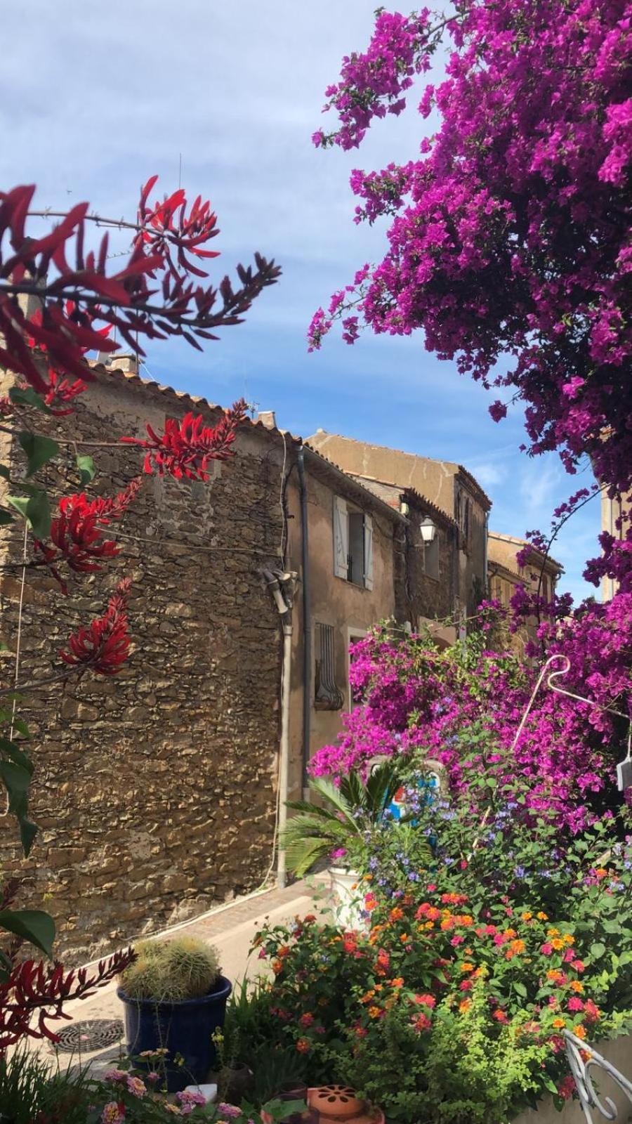 Maison De Vacances Medievale Bormes-Les-Mimosas Village エクステリア 写真