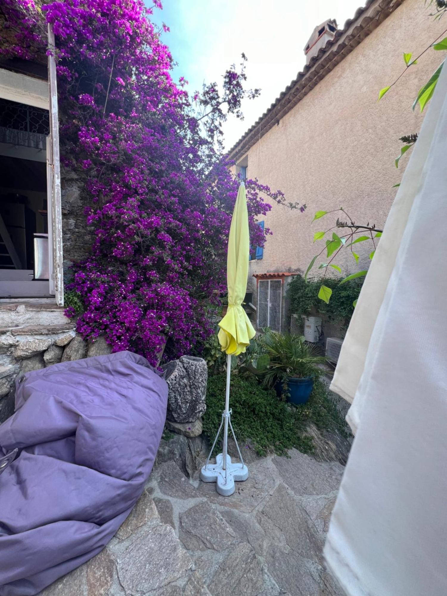 Maison De Vacances Medievale Bormes-Les-Mimosas Village エクステリア 写真