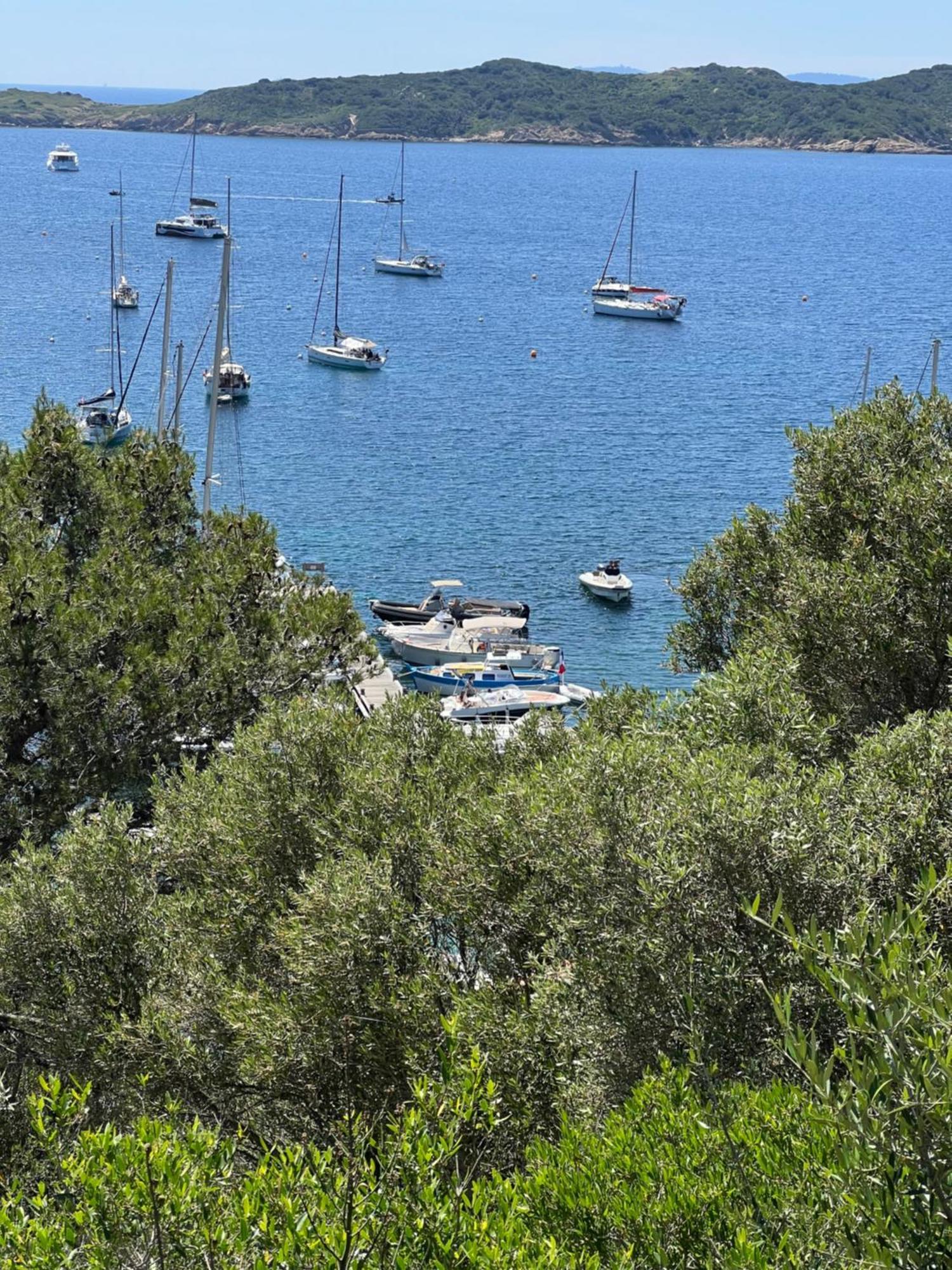 Maison De Vacances Medievale Bormes-Les-Mimosas Village エクステリア 写真